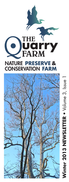 Winter 2013 TQF Cover