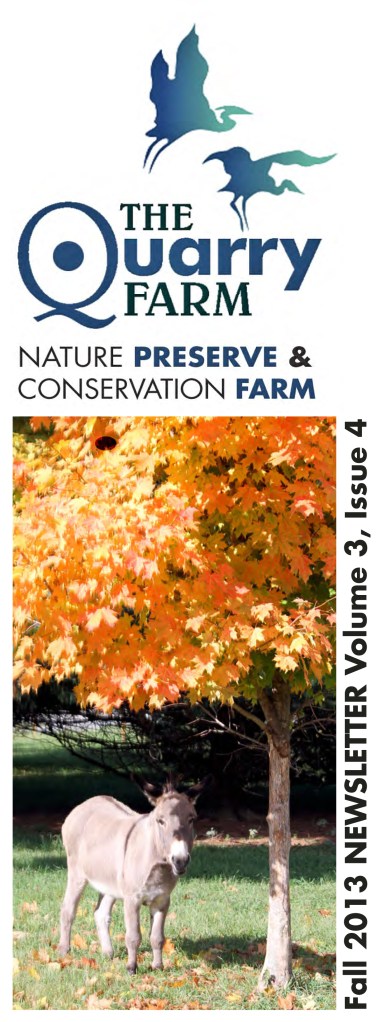 2013 Fall Newsletter-2