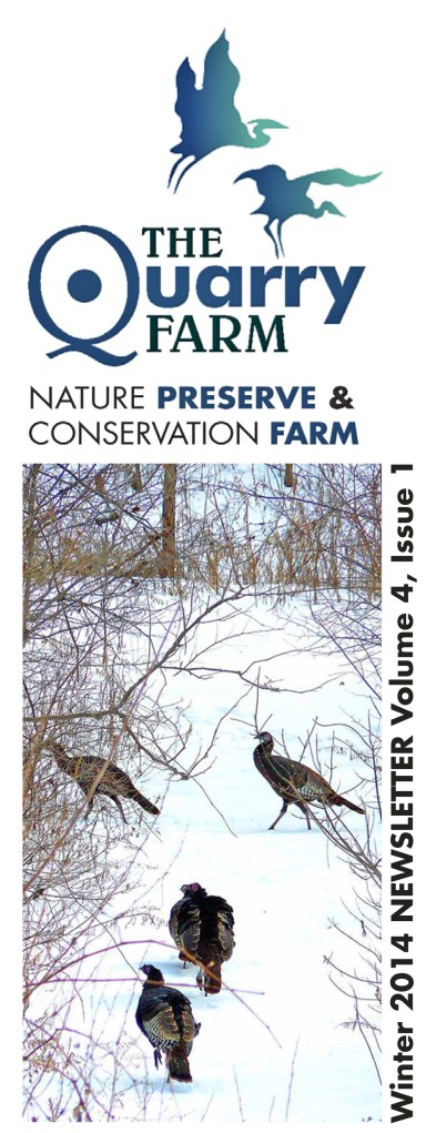 2014 Winter Newslettercover