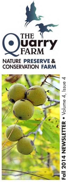Fall 2014 TQF Newsletter-1