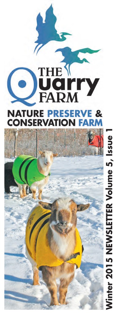 2015 Winter Newsletter-2