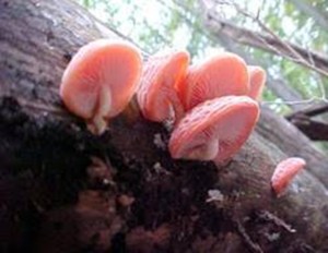 -7xo5oaRukMz_q5gaOTNMGByCtLGRcBuUldJ0QIJt0nSt_MM5KSOfXCSPv3XWc6I2T4DW0bPMhJ0DngL1ZgR_pF4bcvMNPaCTCeXwLY7-348F1BfNXFmjF6GWGnuRt4FxWlVY0gIGioYtoX65Us5yZganOVg2DRIuL_zbkOrlhF6GkSkPWkcQV0R4xDONsplaCorlfT0xgWxzf_Yigelk3KFEd3