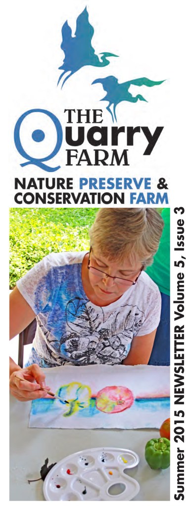 2015 Summer Newsletter cover