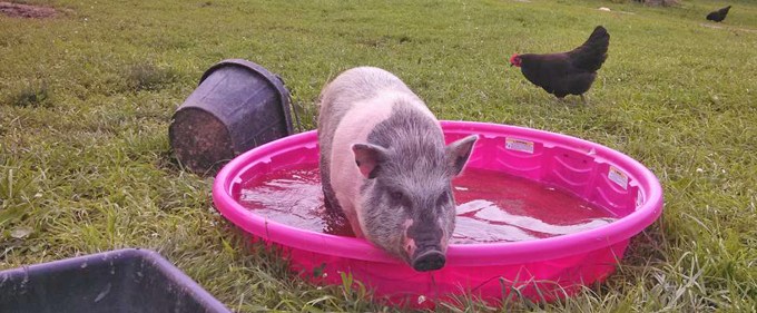 11249478_10207216280756224_2643805049709668732_n