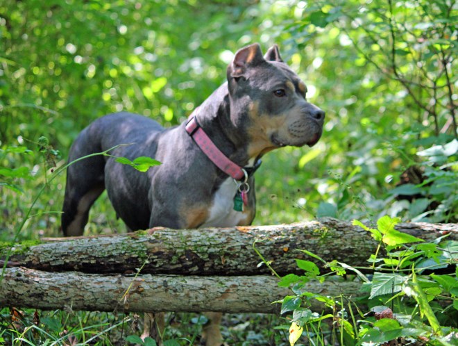 cady by deadfall_edited-1