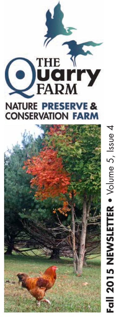 Fall 2015 TQF Newsletter-1