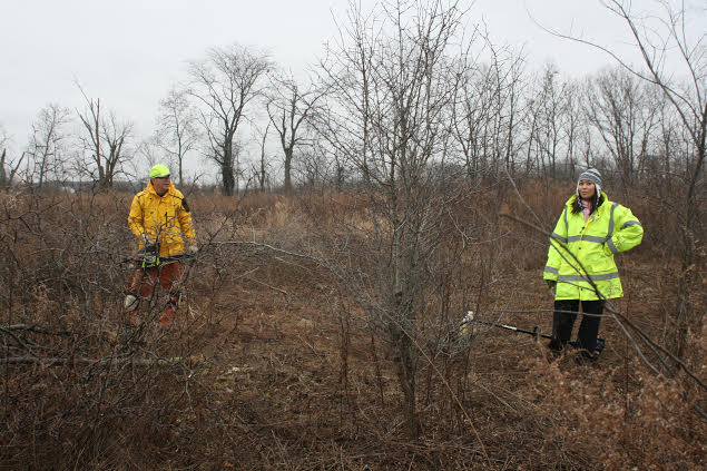 db0d3fe0-34bd-4e59-a59e-c558324be80f