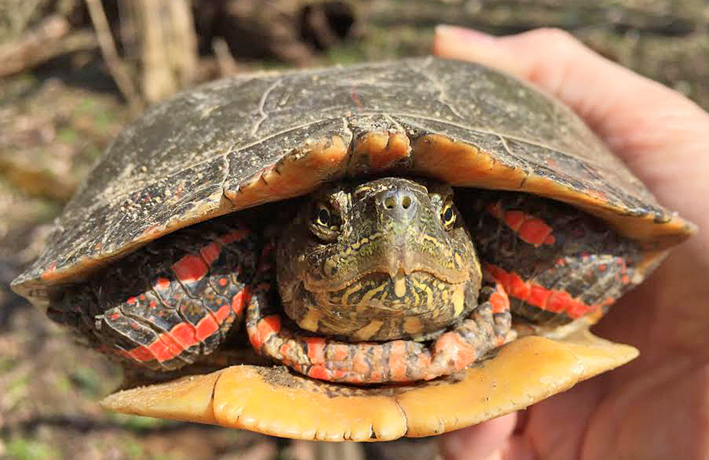 22a018ab-350c-442f-bdfd-262d00d61d72