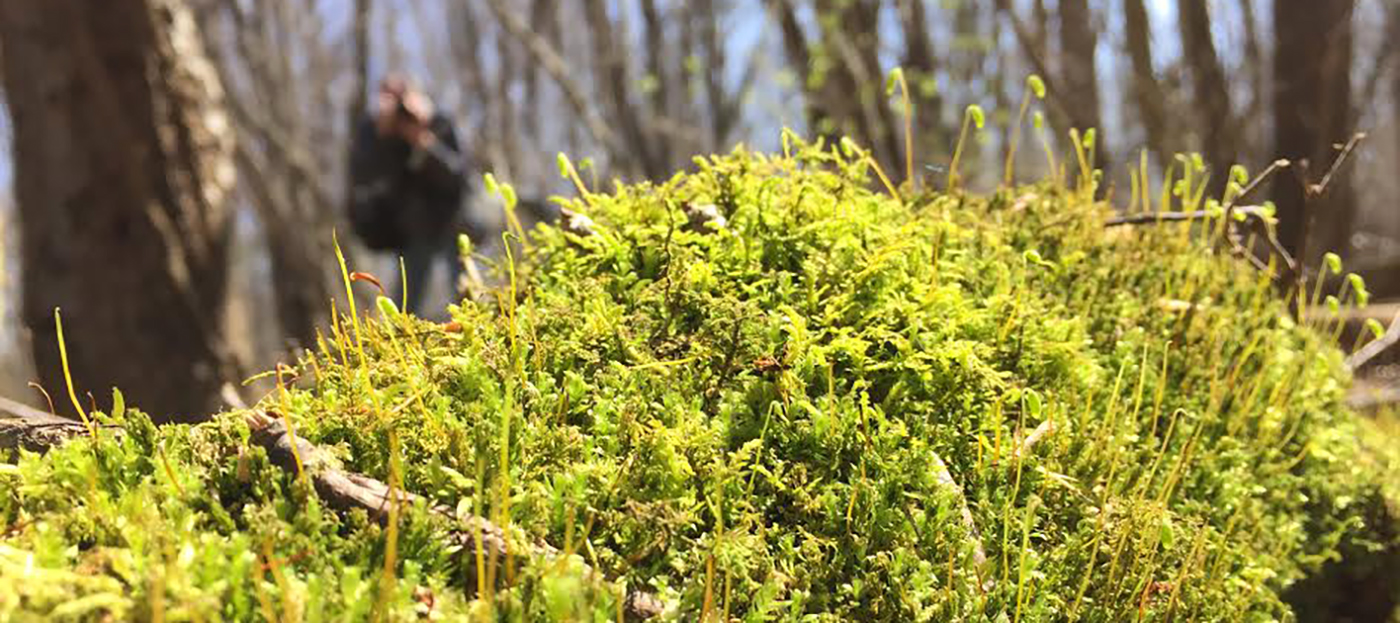 c4670934-429a-4ad5-a309-5e643be723ed