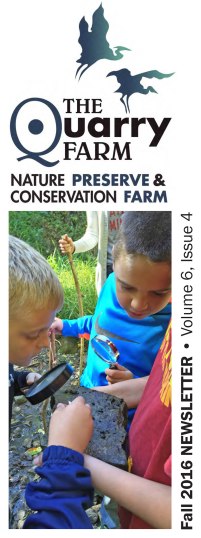 fall-2016-tqf-newsletter-cover