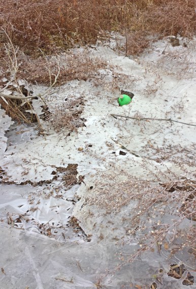 green-bottle-in-ice