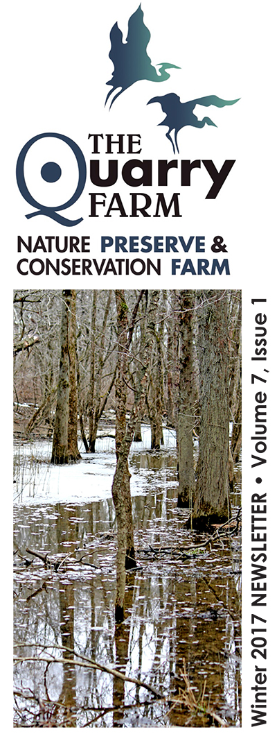 winter-2017-newsletter-1