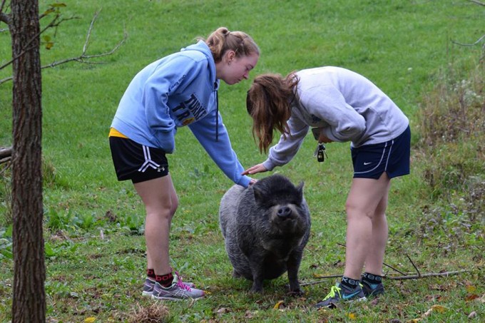 22279407_10210034443489410_8078367306305513948_n