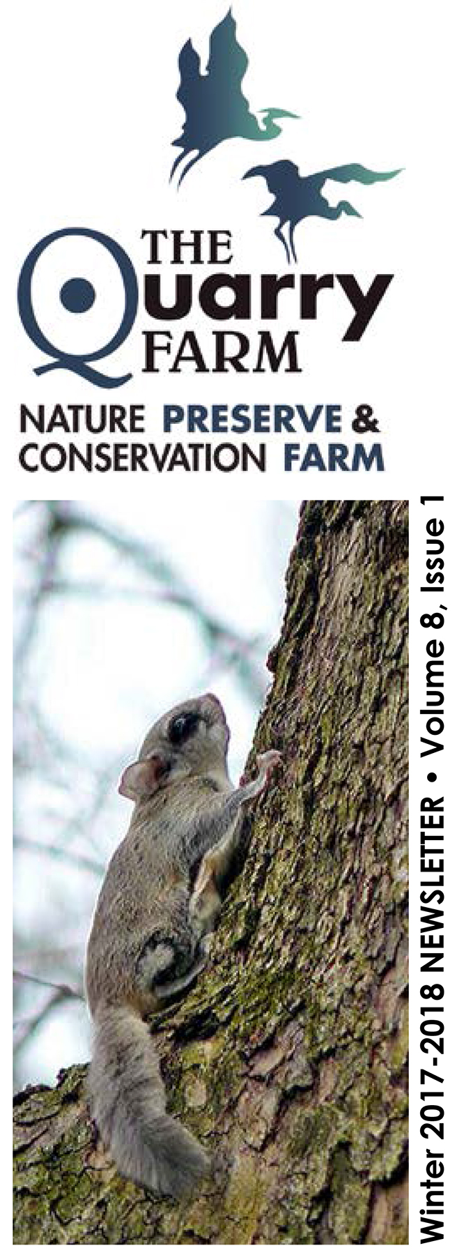 Winter 2018 Newsletter cover