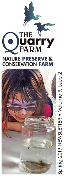 Spring 2019 Newsletter web cover